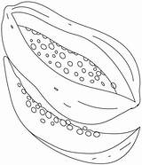 Papaya Sliced sketch template