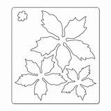 Poinsettia Crafts Christmas Coloring sketch template