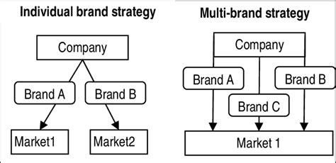 individual brand   multi brand strategies