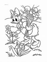 Daisy Coloring Pages Color Kids Print Beautiful Printable Disney Justcolor sketch template