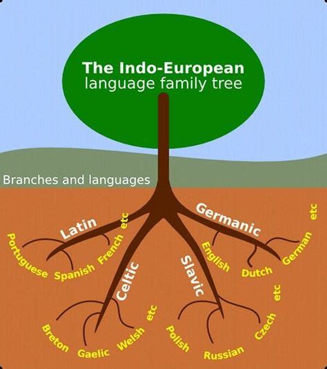 pin  daniel p  history language family tree linguistics language