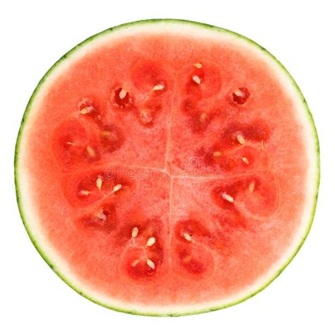 watermeloen stock foto image  vegetarier tropisch