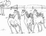 Coloring Running Pages Horse Getcolorings Color Printable sketch template