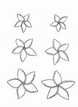 Plumeria Flower Drawing Coloring Flowers Sketch Rosa Rox Hoodlum Girl Tattoo Drawings Deviantart Outline Paintingvalley Designlooter Tattoos Hawaiian Collection 04kb sketch template