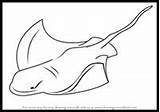 Draw Drawing Ray Bat Lessons Rays Fish Tail Sea Manta Fins Tutorial Long Size Big sketch template