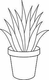 Aloe Succulent Bush Sweetclipart Step sketch template