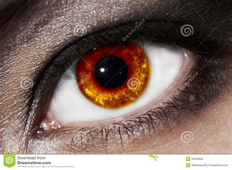 vurig oog stock foto image  menselijk hoornvlies