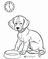 Coloring Dog Pages Dogs Feed Printable Kids Sheet sketch template