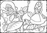 Coloring Wonderland Alice Trippy Pages Getdrawings sketch template