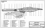 Class Ambassador Starship Ncc 1701 Enterprise Sheet Blueprints Trek Star Blue Starfleet Cygnus X1 Prints Choose Board sketch template