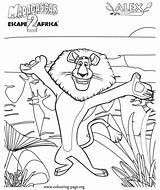 Madagascar Alex Coloring Lion Pages Colouring Kids Africa Escape Draw Movie Printable Characters Books Library Clipart Popular Disney Fun Choose sketch template
