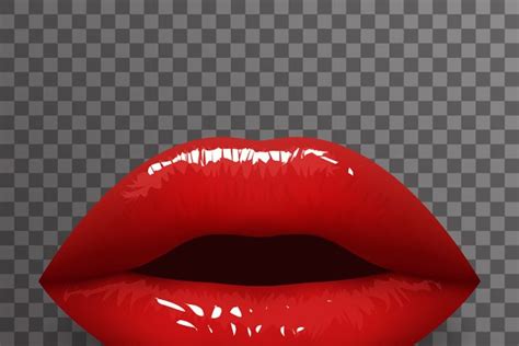 woman lips pre designed illustrator graphics ~ creative market