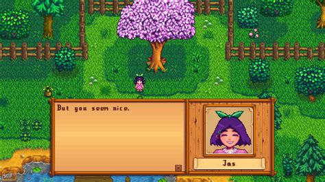 The Debate Over A Stardew Valley Mod That Lets You Marry A