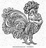 Rooster Coloring Pages Vector Adult Roosters Farm Stock Zentangle Book Template Visit Books Shutterstock Animal sketch template