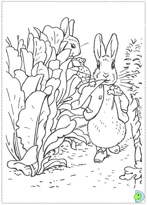 peter rabbit coloring pages    print