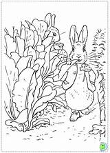 Coloring Dinokids Rabbit Peter Pages Close sketch template
