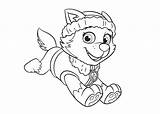 Everest Patrol Paw Coloring Pages Para Colorear Coloriage Clipart Dessin Skye Clip Canina Patrulla Library Getcolorings Pat Patrouille Dibujos Azcoloring sketch template