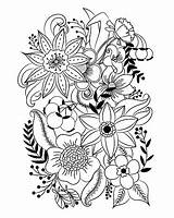 Fleurs Fleur Erwachsene Feuilles Adulte Insipration Malvorlagen Colorier Diverses Exotiques Blumenmandala Vecteurs Plantes Jecolorie sketch template