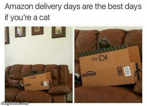 loves amazon delivery