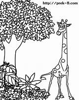 Coloring Animals Jungle Pages Popular sketch template