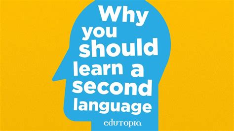 language   learn learn english  krazy korean      accurate