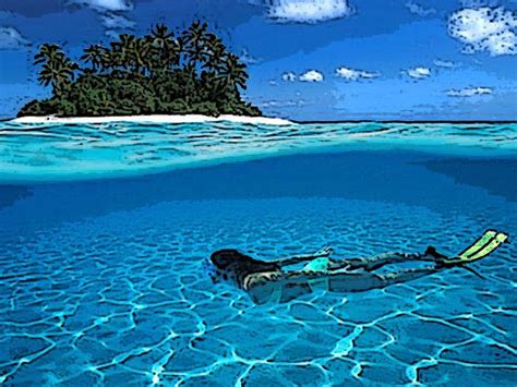 singular scientist swimming   blue ocean