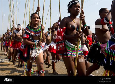 zulu doncellas entregar reed palos al rey zulú de baile en palacio