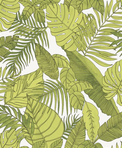 tropical tropical green natty polly wallpaper australia