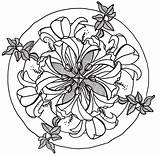 Mandala Hibiscus Drawing Flower Flowers Line Drawings Lily Coloring Pages Pencil Tattoo Choose Board sketch template