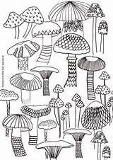 Mushroom Mushrooms Sheet Pilz Pilze Fungi Ink Doodle Letter Ausmalen Trippy sketch template