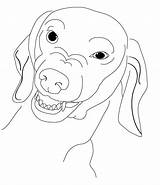 Coloring Dachshund Dog Pages Jennifer Dachshunds Brien Wiener Popular Growling Bord Kiezen Coloringhome sketch template