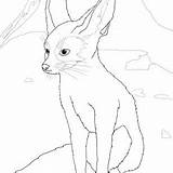 Fennec Fox Coloring Getcolorings Simple sketch template