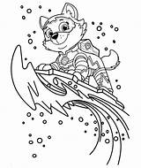 Mighty Pups Everest Colouring Patrulla Canina Scribblefun sketch template