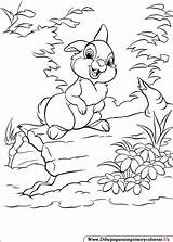 Bunnies Colorat Coloriages Iepurasi Animale Lapin P62 Planse Lapins Tatakiki Malvorlagen Desene Dysney Lumpy Primiiani Coloriez Walt Italks Colorier Bambi sketch template