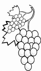 Buah Anggur Buahan Mewarnai Mewarna Sketsa Uva Grapes Colorir Berguna Himpunan Mudah Lukisan Dapatkan Cepat Perolehi Halaman Diwarnai Fruits Dari sketch template