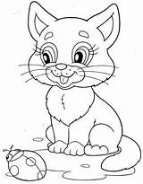 Coloring Pages Kitty Kitten Cat Printable Sheets sketch template