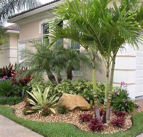 front yard small palm trees  tropical oasis   home