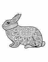 Bunny Coloriage Calm Adulte Creatively sketch template