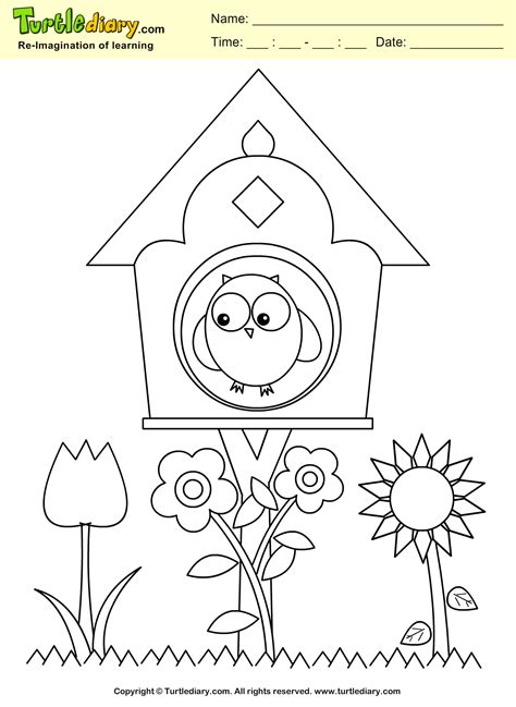 bird house coloring sheet turtle diary