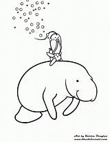 Coloring Pages Manatees Popular sketch template