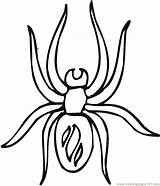 Spider Coloring Printable Pages Animals Color sketch template