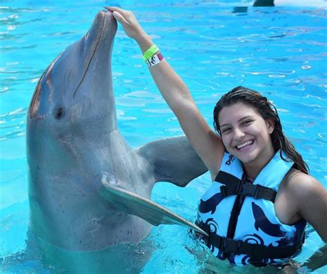 swim  dolphins aquaventuras park swim  dolphins  dolphin discovery