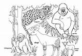 Coloring Savanna African Pages Rainforest Kids Printable Animals Color Getcolorings Sheets Getdrawings Realistic sketch template