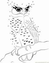 Owl Eagle Dot Dots Connect Bellied Spot Worksheets Printable Kids Worksheet Connectthedots101 Birds sketch template