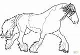 Horse Coloring Morgan Pages Getcolorings Printable sketch template