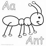 Ant Formiga Colorir Ants Insect Formigas Secretariat sketch template