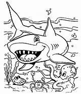 Coloring Shark Sea Animals Friendly Other Seabed Kids Color Sharks sketch template
