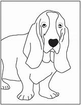 Basset Hound Coloring Template Pages 41kb sketch template