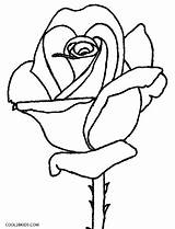 Coloring Roses Pages Cool2bkids Rose Skull Cross Kids Printable Flower Plant Print Color Getcolorings Getdrawings sketch template