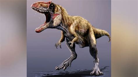 New Dinosaur That Rivaled T Rex Discovered In Utah Abc News